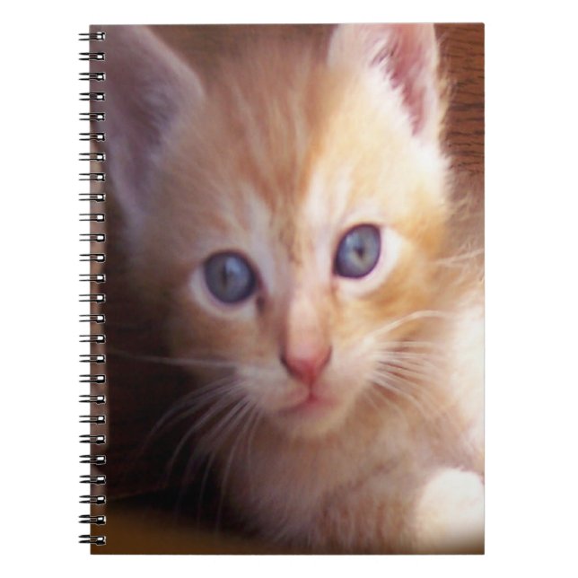 Cuaderno Gatos (Frente)