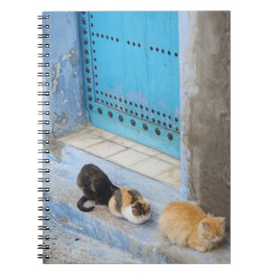 Cuaderno Gatos, Chefchaouen, Marruecos