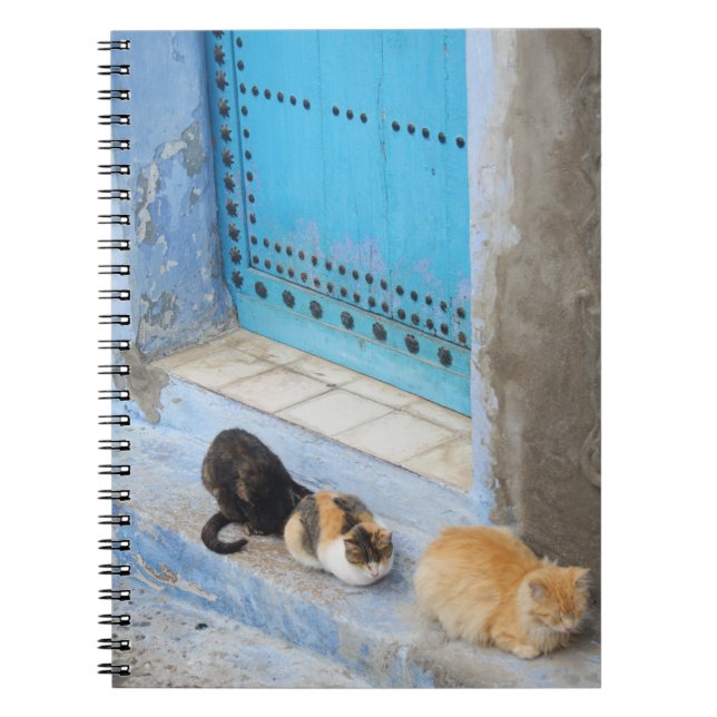 Cuaderno Gatos, Chefchaouen, Marruecos (Frente)