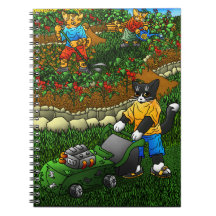 Gatos de jardinería de verano