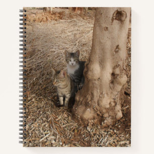 CUADERNO GATOS DE WOODLAND