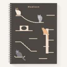 Gatos Lindos en Mobiliario de Pared para Gatos Gri