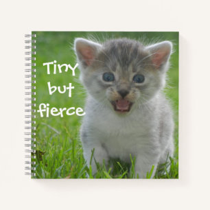 Cuaderno Gatos malotes - Kitten "Pequeño pero feroz"
