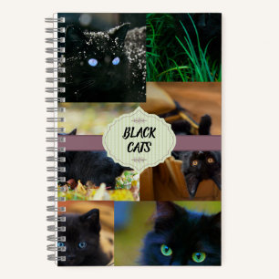 Cuaderno Gatos negros