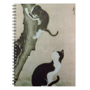 Cuaderno Gatos, siglo XVII (tinta en la seda)