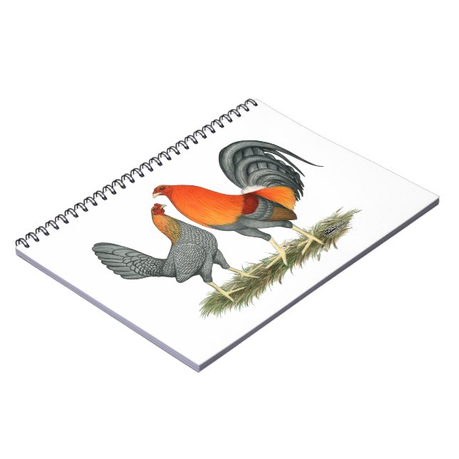 Cuaderno Gaucotona azul (Lado Izquierdo)
