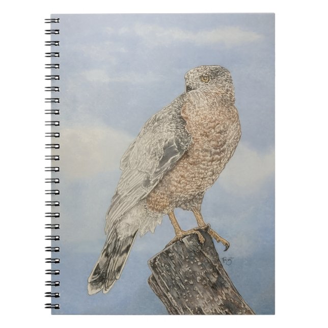 Cuaderno Gavilán de Cooper (Frente)