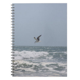 Cuaderno Gaviota