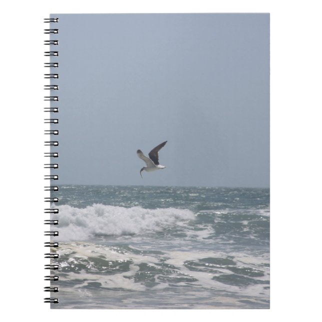 Cuaderno Gaviota (Frente)
