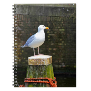 Cuaderno Gaviota