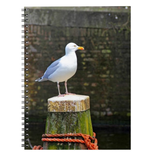 Cuaderno Gaviota (Frente)