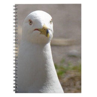 Cuaderno Gaviota