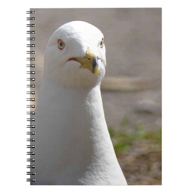 Cuaderno Gaviota (Frente)