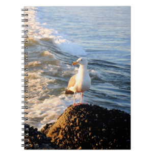 Cuaderno Gaviota de Venecia