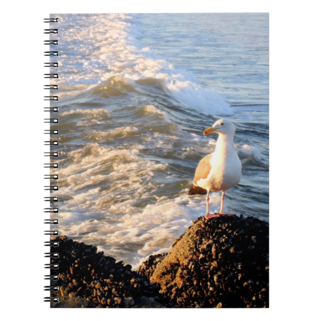 Cuaderno Gaviota de Venecia (Frente)