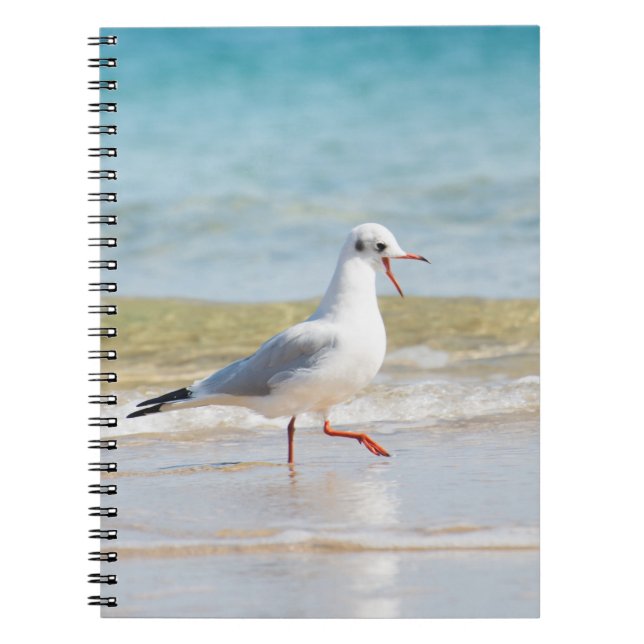 Cuaderno Gaviota divertida (Frente)