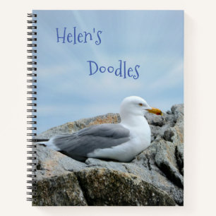 Cuaderno Gaviota En Doodle A Orillas Del Mar