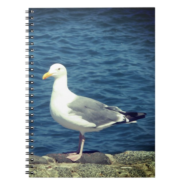 Cuaderno Gaviota En La Bahía (Frente)