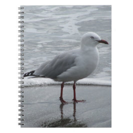 Cuaderno Gaviota junto al mar