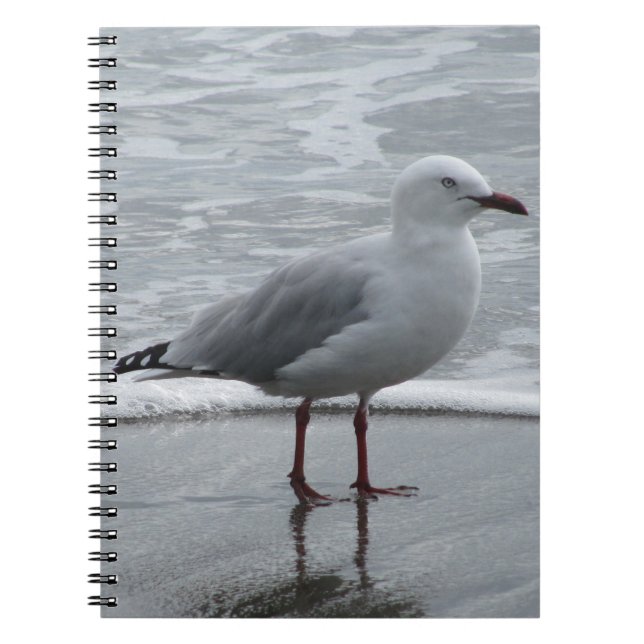 Cuaderno Gaviota junto al mar (Frente)