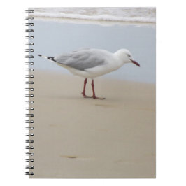 Cuaderno Gaviota junto al mar