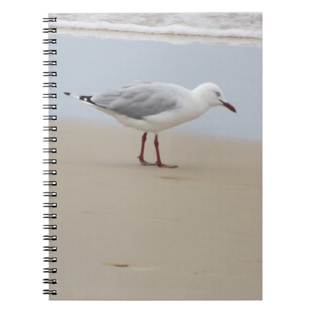 Cuaderno Gaviota junto al mar (Frente)
