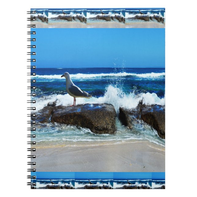 Cuaderno Gaviota Sobre Rocas De Playa, (Frente)