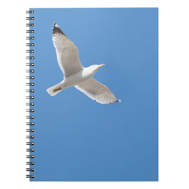 Cuaderno Gaviota voladora (Frente)