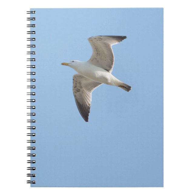 Cuaderno Gaviota voladora (Frente)