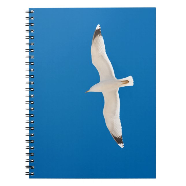Cuaderno Gaviota voladora (Frente)