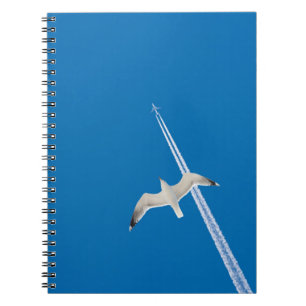 Cuaderno Gaviota y avión