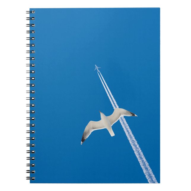 Cuaderno Gaviota y avión (Frente)