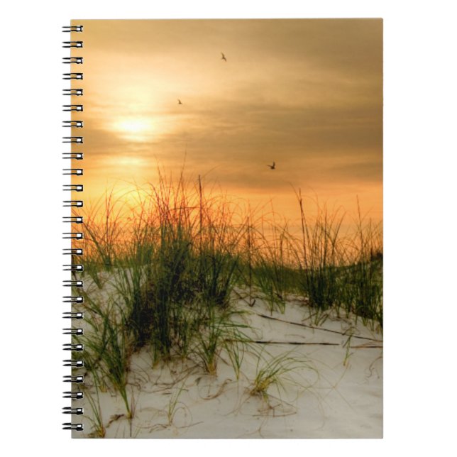 Cuaderno Gaviotas al amanecer (Frente)