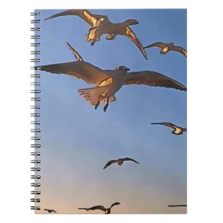 Cuaderno Gaviotas con arte de contorno negro de vuelo