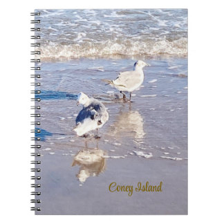 Cuaderno Gaviotas de Coney Island