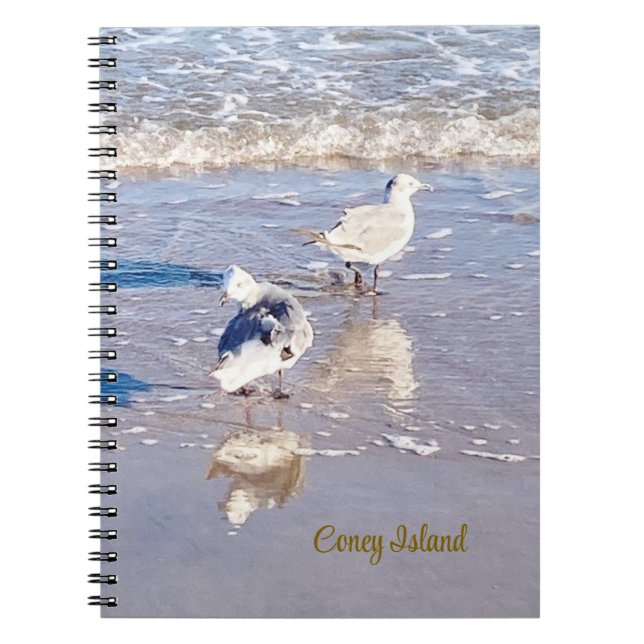Cuaderno Gaviotas de Coney Island (Frente)
