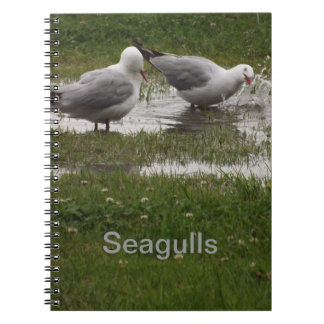 Cuaderno Gaviotas en un charco