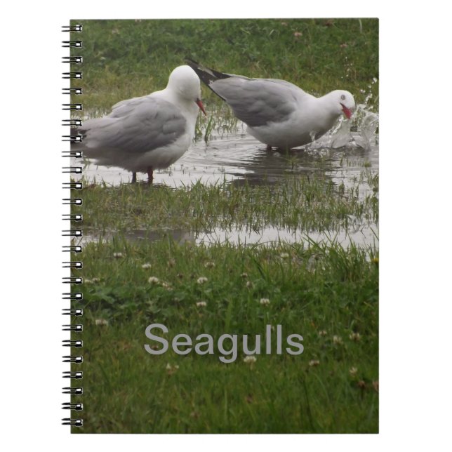 Cuaderno Gaviotas en un charco (Frente)