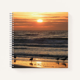 Cuaderno Gaviotas junto al mar al atardecer
