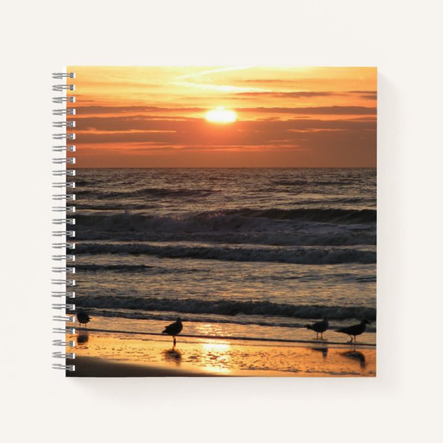 Cuaderno Gaviotas junto al mar al atardecer (Anverso)