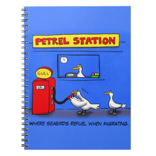 Cuaderno Gaviotas marinas divertidas petrel humor personali