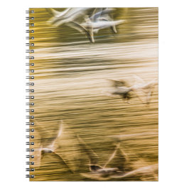 Cuaderno Gaviotas voladoras - abstractas