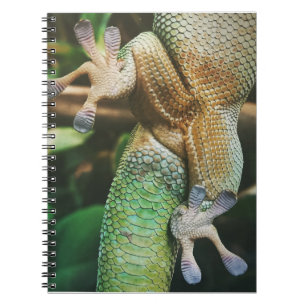Cuaderno Gecko Feet