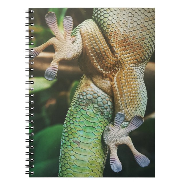 Cuaderno Gecko Feet (Frente)