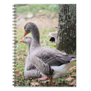 Cuaderno Geese
