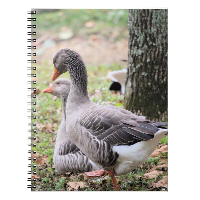 Cuaderno Geese (Frente)
