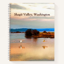 Geese de nieve en el valle de Skagit