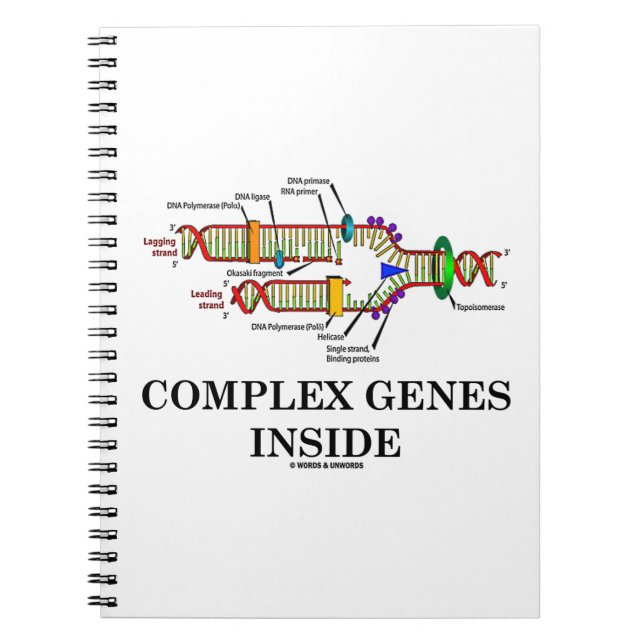 Cuaderno Genes complejos en el interior (replicación del AD (Frente)