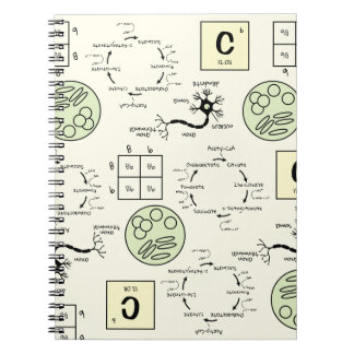 Cuaderno Genética de células de profesores de ciencias de l