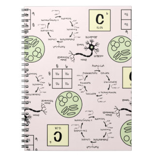 Cuaderno Genética de células de profesores de ciencias de l